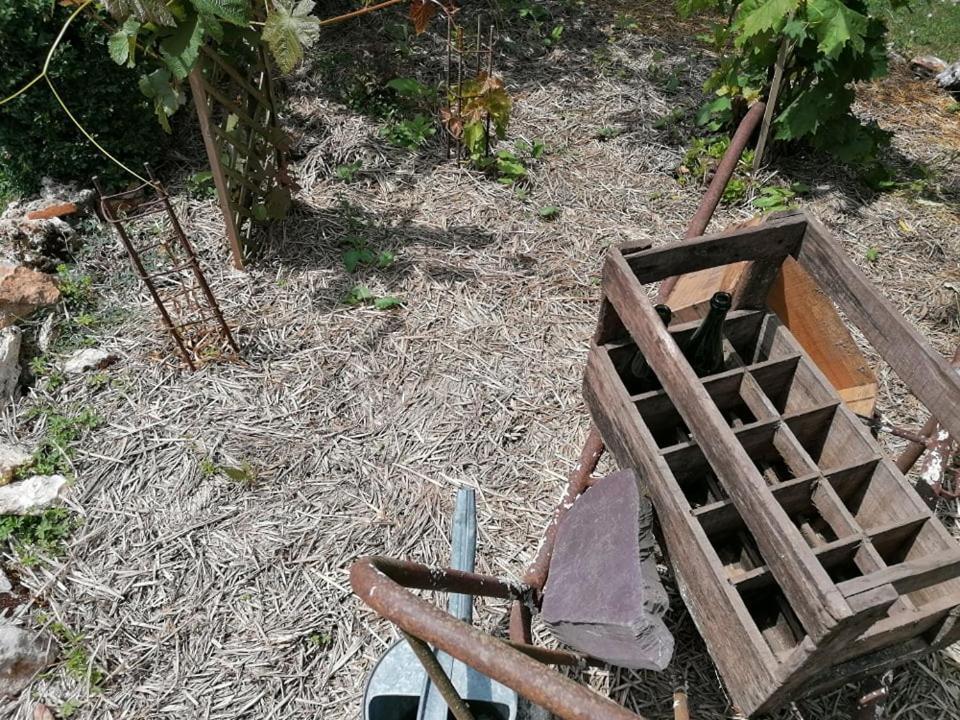 Hotellerie Jardiniers Gourmands Morsains Exterior foto
